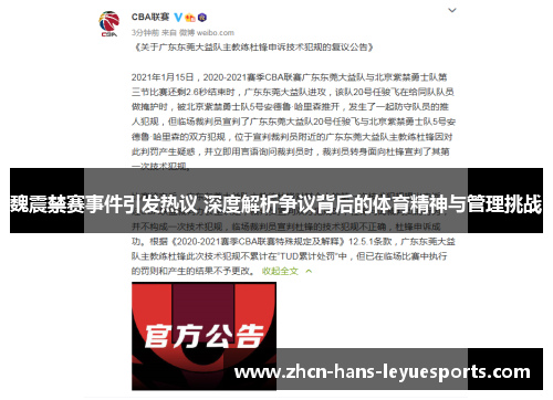 魏震禁赛事件引发热议 深度解析争议背后的体育精神与管理挑战