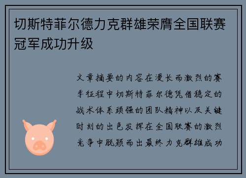 切斯特菲尔德力克群雄荣膺全国联赛冠军成功升级